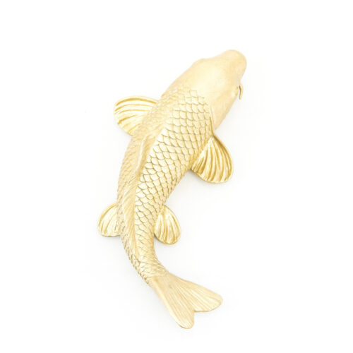 Triton Vis - Goud - Afbeelding 3