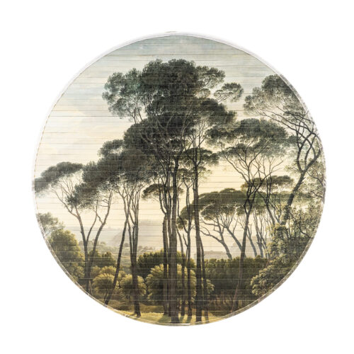 Wandcirkel Morita Jungle - Groot
