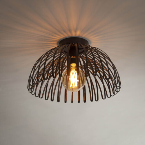 Plafondlamp 1L Gebogen