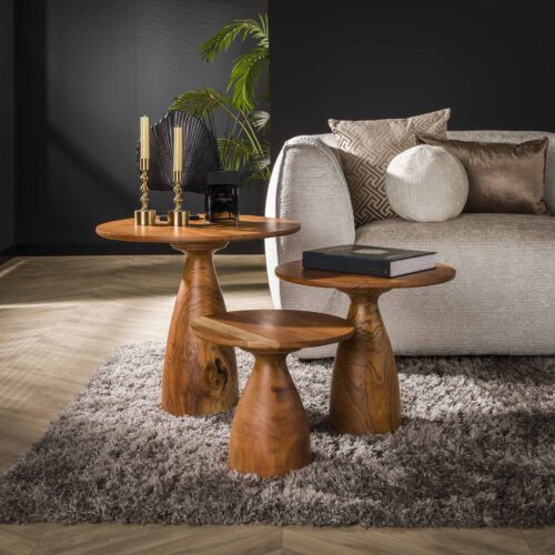 Ronde Salontafel Kiara Acaciahout - Set van 3 stuks