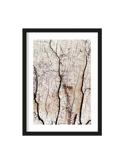 Art Print Soft coral  - zelf samenstellen