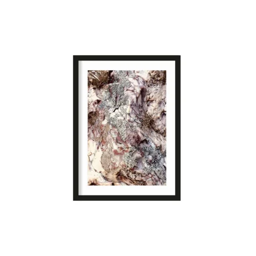 Art Print Stone plants   - zelf samenstellen
