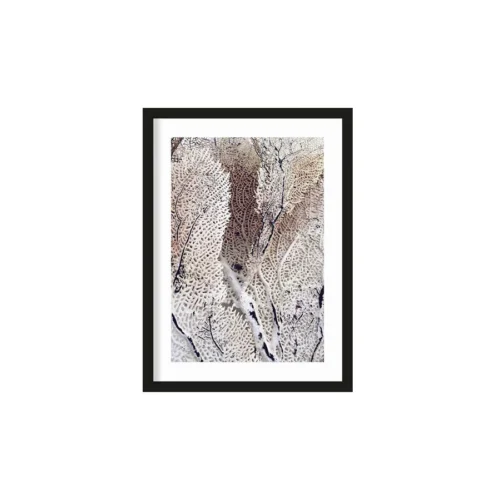 Art Print Curly soft coral  - zelf samenstellen
