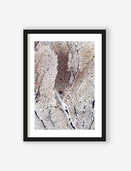 Art Print Curly soft coral  - zelf samenstellen - Afbeelding 4
