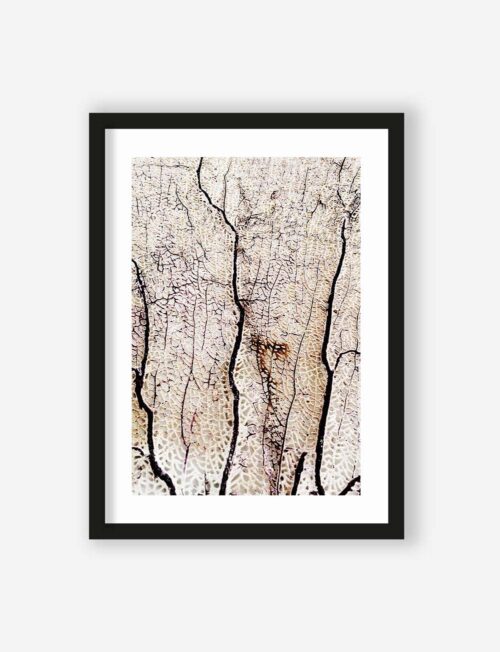 Art Print Soft coral  - zelf samenstellen - Afbeelding 4