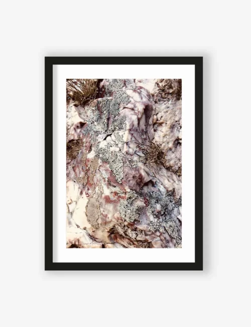 Art Print Stone plants   - zelf samenstellen - Afbeelding 4
