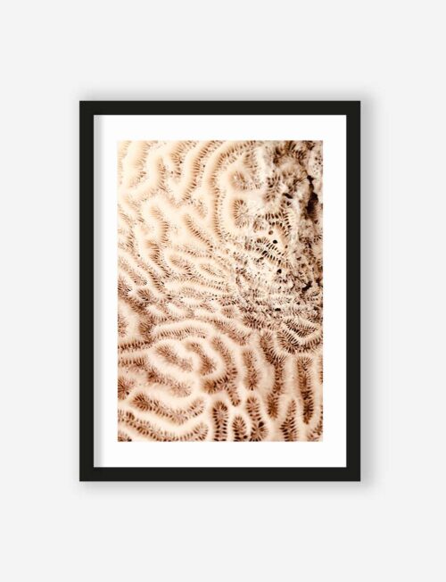 Art Print The brains of the sea   - zelf samenstellen - Afbeelding 4