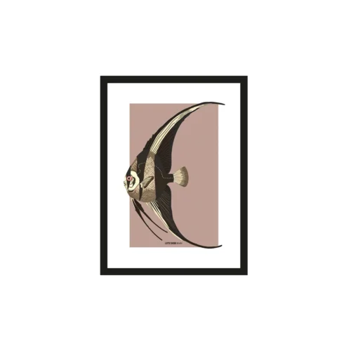 Art Print Mola Mola - zelf samenstellen