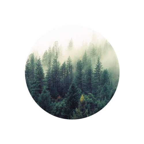 Art Print Contemporary Forest  - zelf samenstellen - Afbeelding 2
