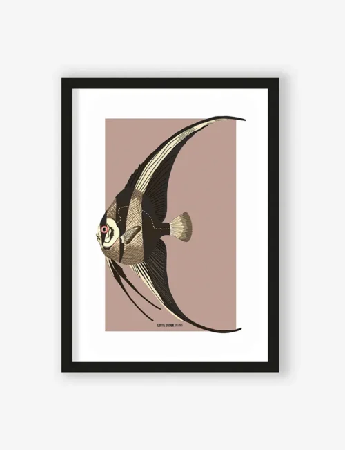 Art Print Mola Mola - zelf samenstellen - Afbeelding 2