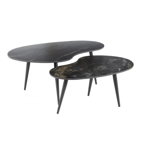 Salontafel Fossil Niervormig Zwart Set van 2 stuks - Afbeelding 4