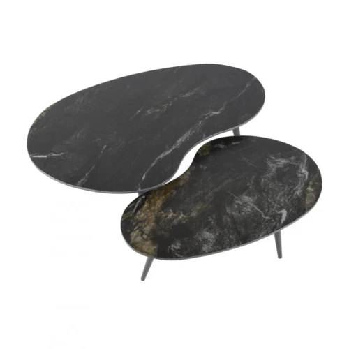 Salontafel Fossil Niervormig Zwart Set van 2 stuks - Afbeelding 2