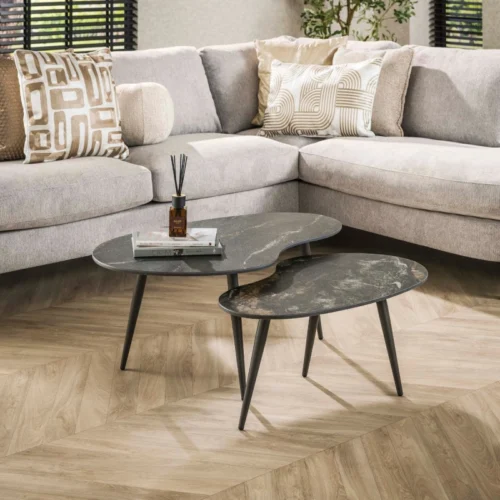 Salontafel Fossil Niervormig Zwart Set van 2 stuks