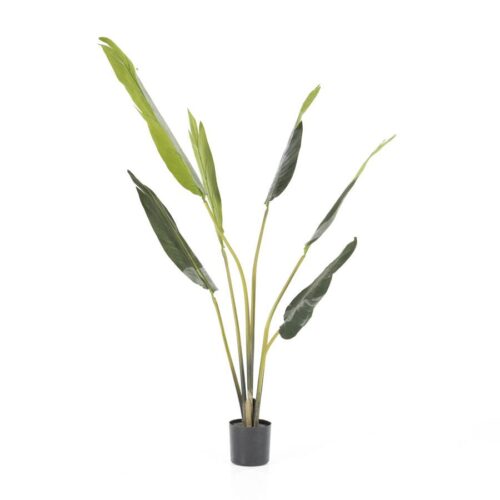 Kunstplant Strelitzia 25 x 122 cm - Afbeelding 3