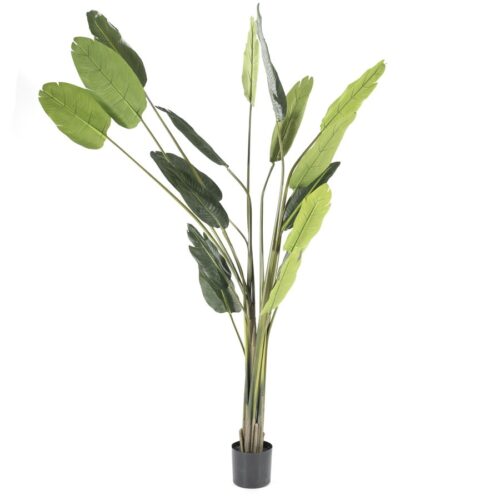 Kunstplant Strelitzia 46 x 220 cm - Afbeelding 3