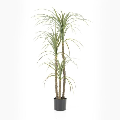 Kunstplant Yuka 3 stammen 56 x 122cm - Afbeelding 3
