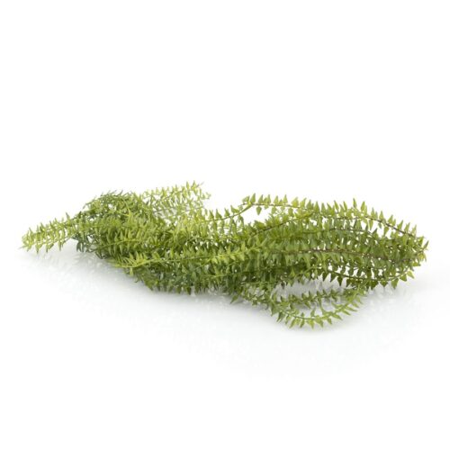 Kunstplant Hang Ficus aan steel 16 x 87 cm - Afbeelding 3