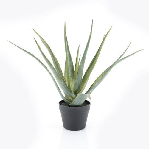 Kunstplant Aloë Vera 41 x 59 cm - Afbeelding 3