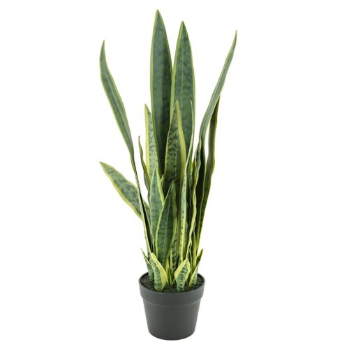 Kunstplant Sansevieria 79 cm - Afbeelding 3