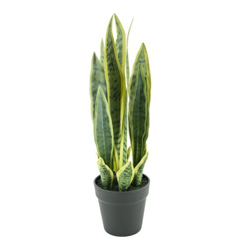 Kunstplant Sansevieria 55 cm - Afbeelding 3