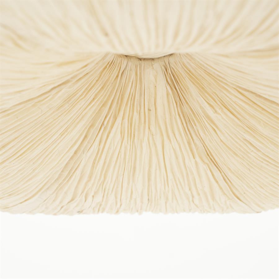 Hanglamp Lokta - Ø63cm - Afbeelding 6