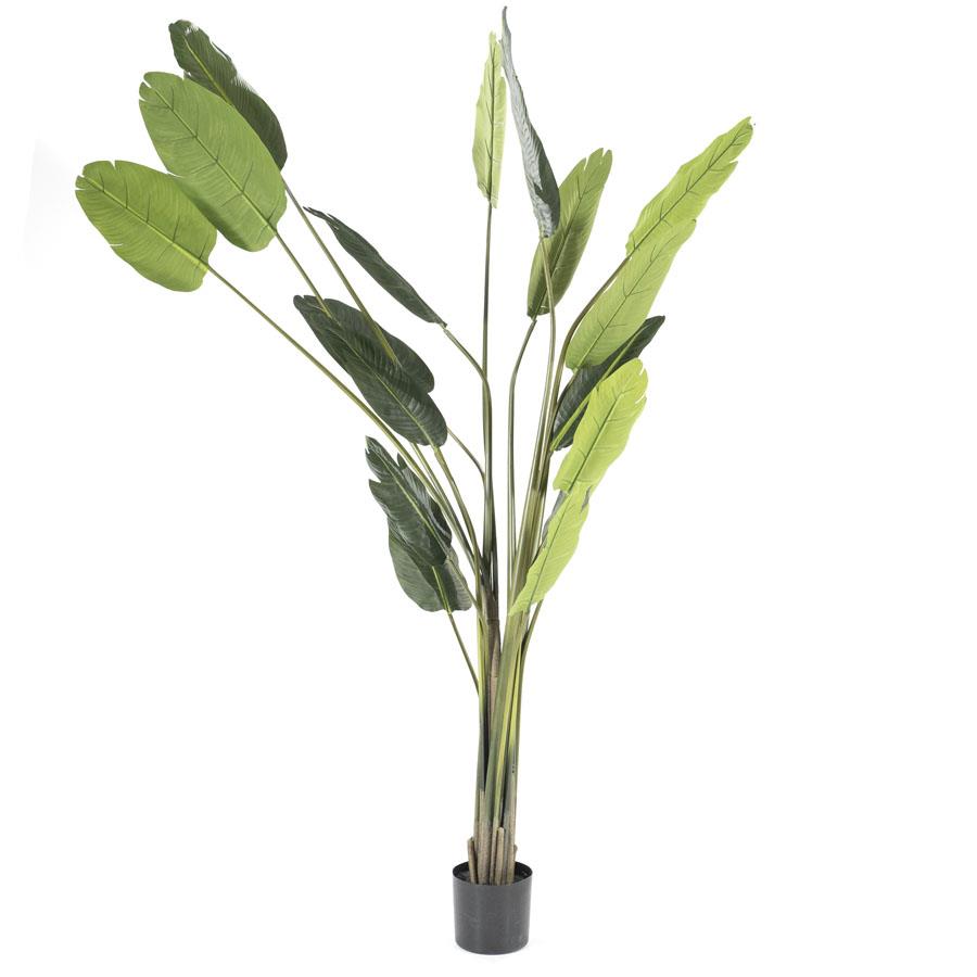 Kunstplant Strelitzia 46 x 220 cm - Afbeelding 4