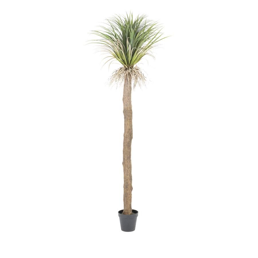 Kunstboom Agave met pot 244 cm - Afbeelding 4