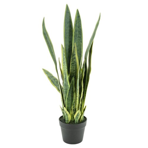 Kunstplant Sansevieria 79 cm - Afbeelding 4