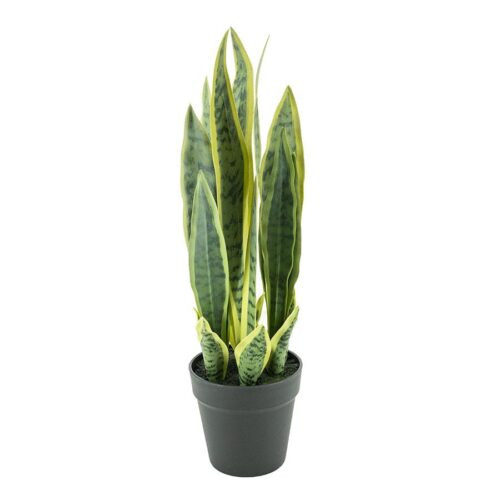 Kunstplant Sansevieria 55 cm - Afbeelding 4