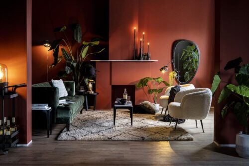 Spiegel Plecto Mangohout - Bruin - Afbeelding 14