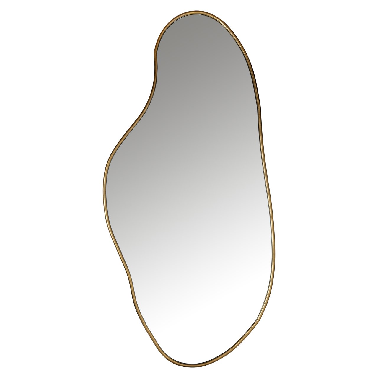 Organische Spiegel Alton 183 x 85cm kleur Brushed Gold
