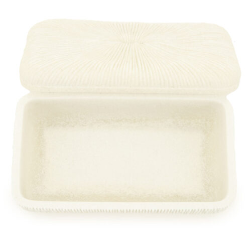 Opbergdoos Zoa Resin - 25cm - Afbeelding 7