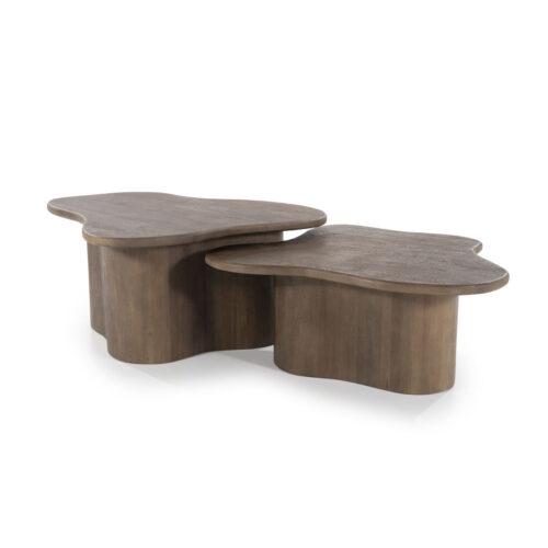 Organische Salontafel Fall Mangohout Set van 2 - Bruin - Afbeelding 6